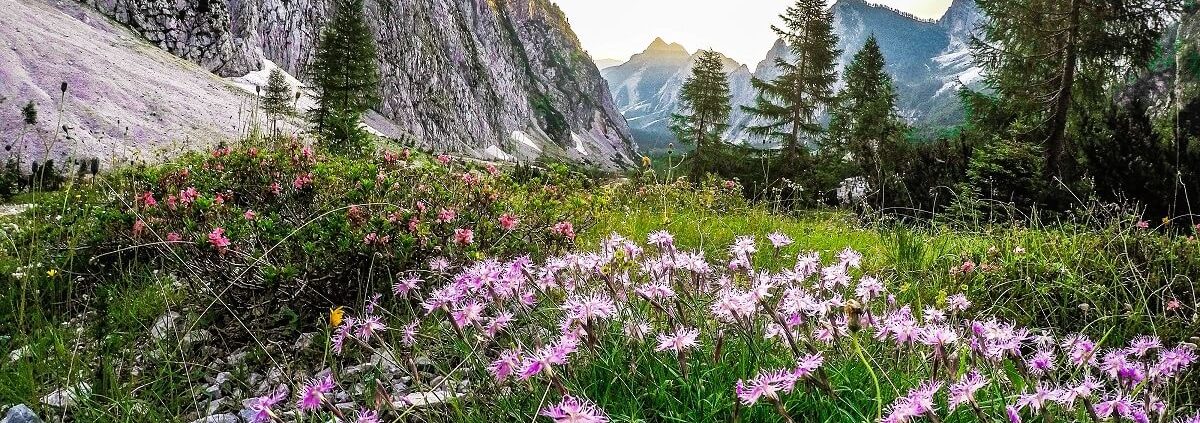 V okolici Kranjske Gore se nahaja obilica čudovitih gora, ki nudijo možnost za krasne izlete v naravo